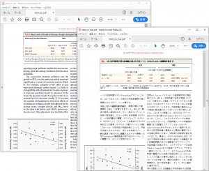 PDF ダイレクトファイル翻訳