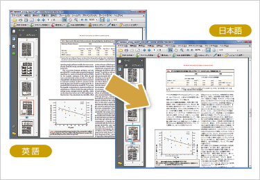 PDF翻訳機能