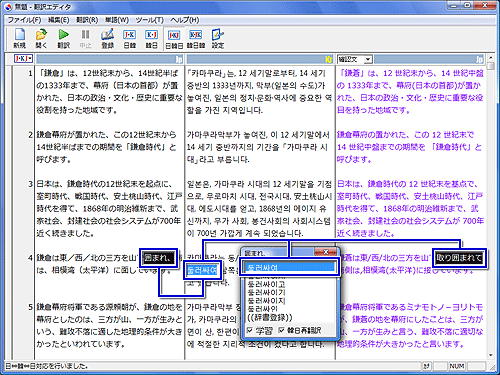 翻訳ピカイチ 韓国語 V10+OCR 日Ò韓Ò日 三面翻訳エディタ