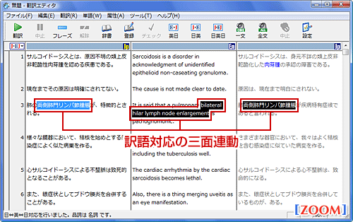 翻訳ピカイチ メディカル V15 三面翻訳エディタ