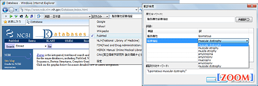 翻訳ピカイチ メディカル V15 IEアドイン翻訳