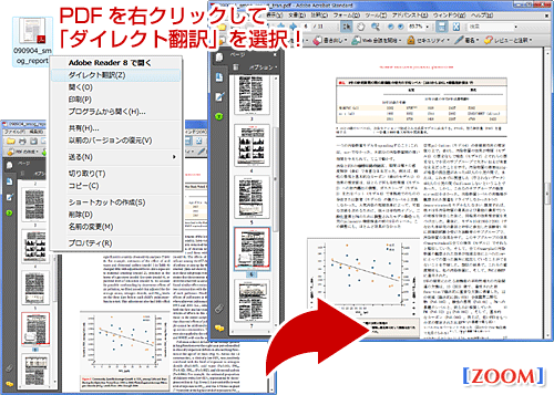 翻訳ピカイチ メディカル V15 PDFダイレクト翻訳