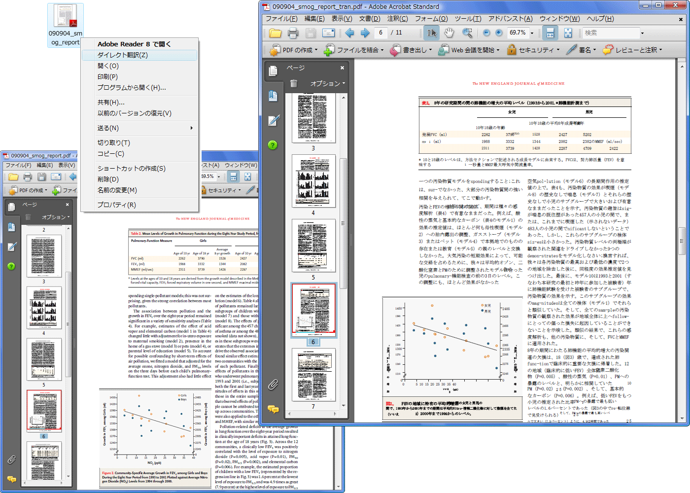 翻訳 pdf